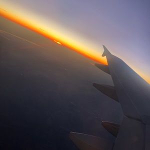 Meet your Posher, Amelia